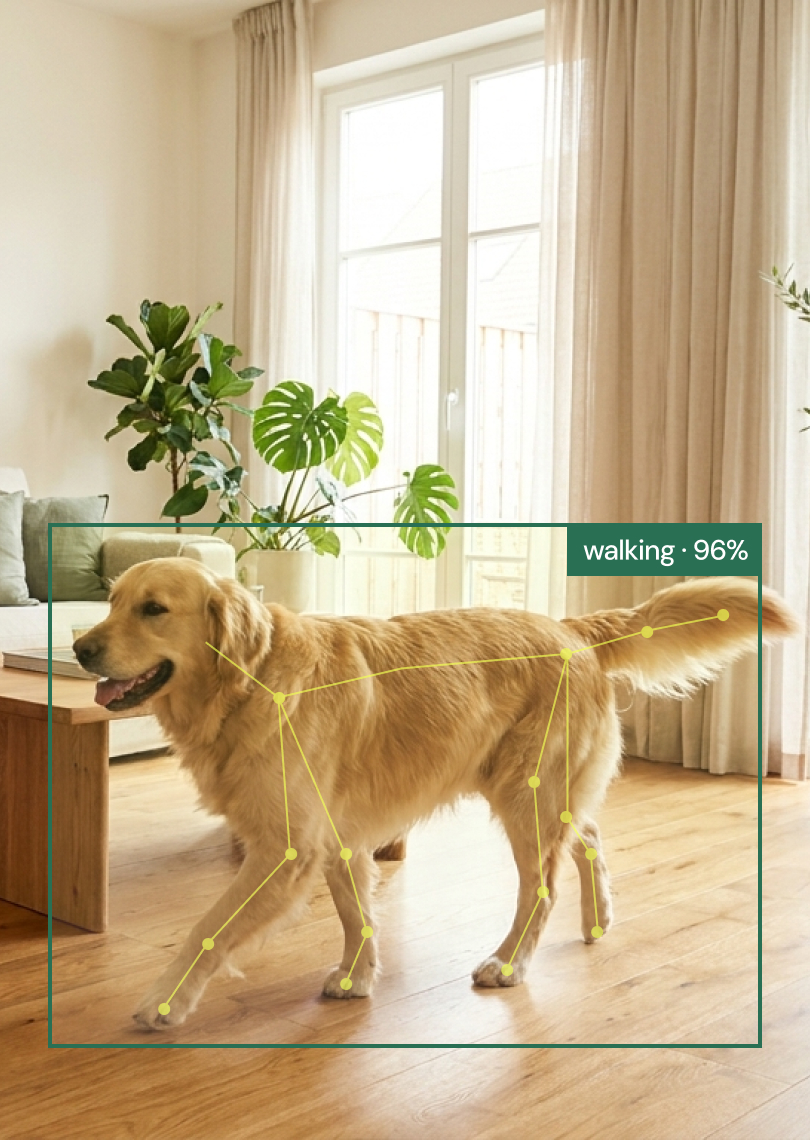 A translucent 3D form of a dog crossed by a scan line, representing AI behavior recognition