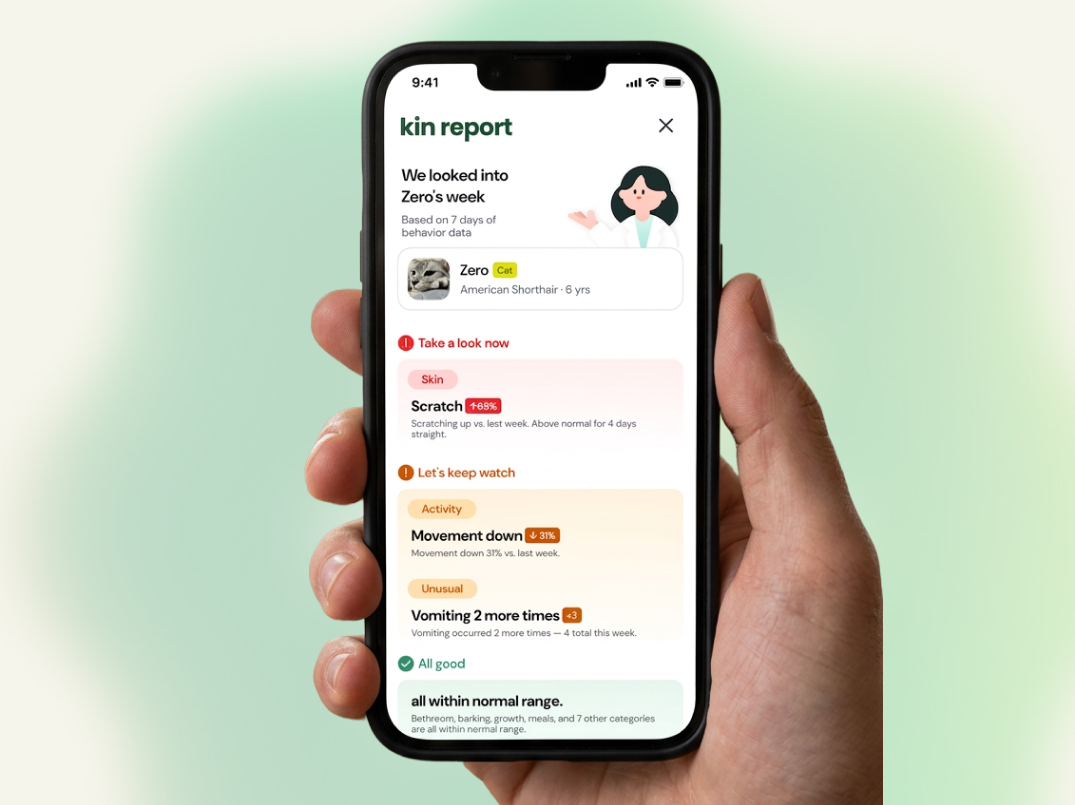The daily report screen of the Kinfora app