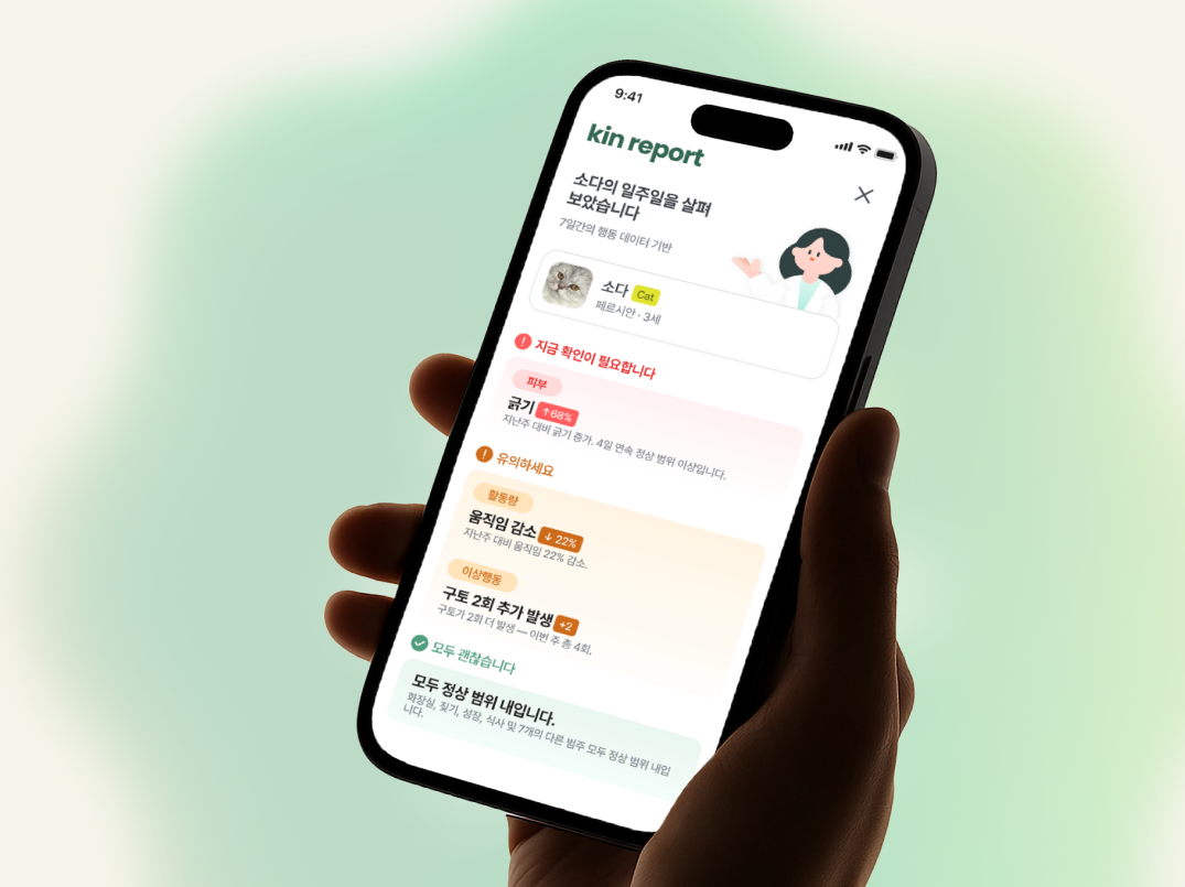 킨포라 앱 데일리 리포트 화면