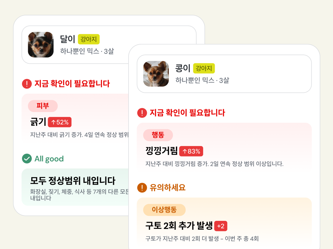 킨포라 앱 데일리 리포트 화면