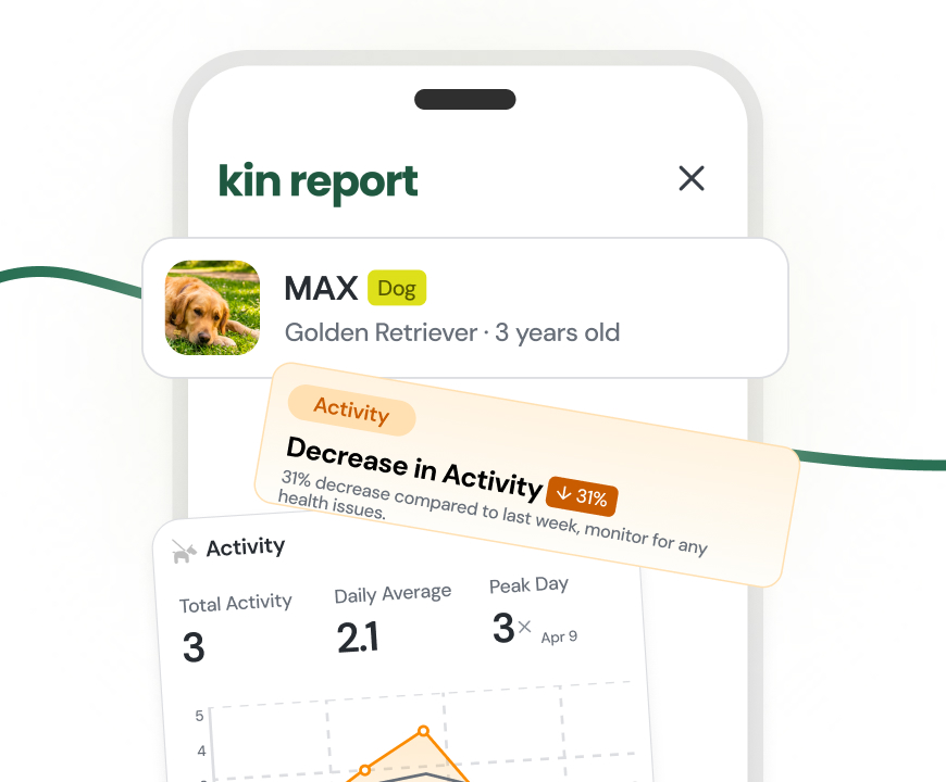 A Kinfora report card summarizing behavior frequency and records