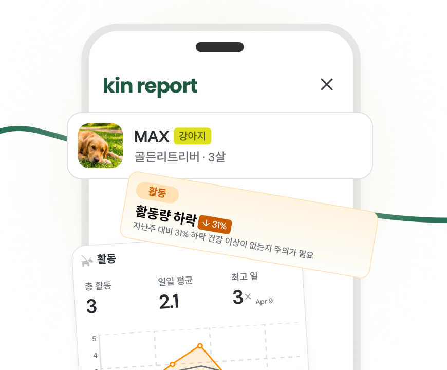 행동 빈도와 기록을 정리한 킨포라 리포트 카드