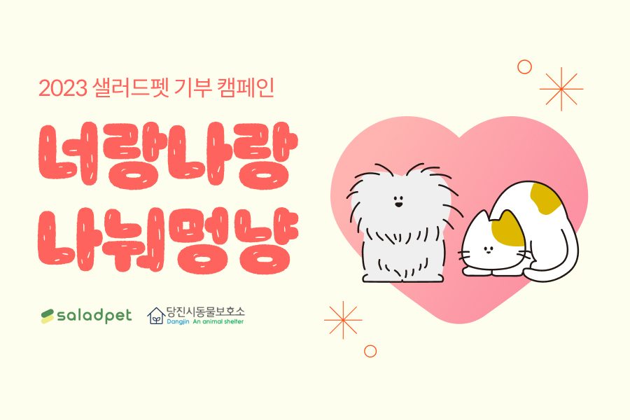 '샐러드펫', 너랑나랑 나눠멍냥 캠페인 진행..."보호소에도 건강한 사료를"