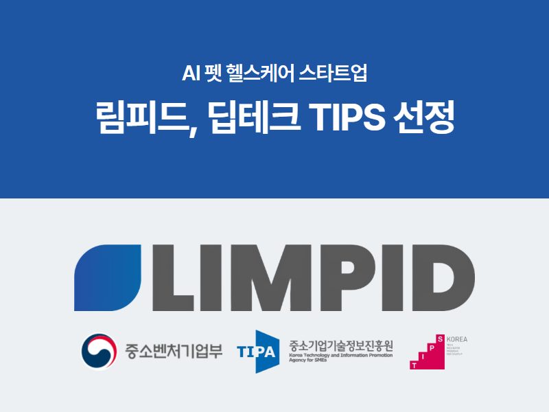 림피드 딥테크 팁스 선정 보도자료 PR 카드
